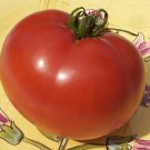 Organic Thessaloniki Tomato Seeds 15 Count