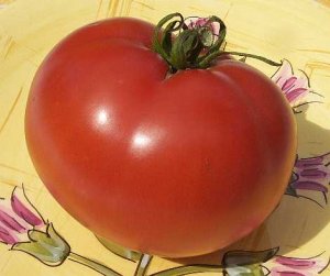 Organic Thessaloniki Tomato Seeds 15 Count