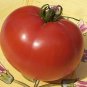 Organic Thessaloniki Tomato Seeds 15 Count