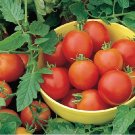 Organic Moneymaker Tomato Seeds 20 Count