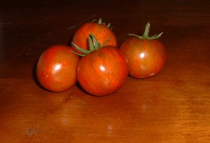Organic Black Zebra Tomato Seeds 20 Count