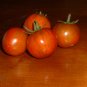 Organic Black Zebra Tomato Seeds 20 Count