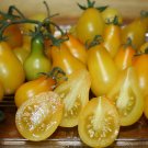 Organic Yellow Pear Tomato Seeds 15 Count