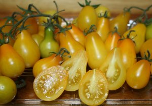 Organic Yellow Pear Tomato Seeds 15 Count