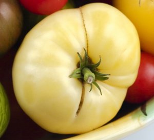Organic White Wonder Tomato Seeds 20 Count