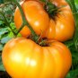 Organic Schellenberg's Favorite Tomato Seeds 15 Count
