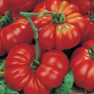 Organic Scarlet Beefsteak Tomato Seeds 20 Count