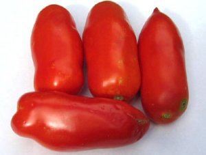 Organic San Marzano Tomato Seeds 15 Count
