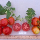 Organic Swiss Alpine Tomato Seeds 20 Count