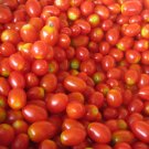 Organic Sweetie Tomato Seeds 15 Count
