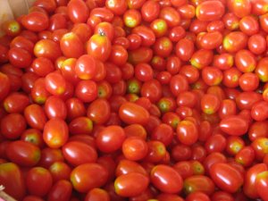 Organic Sweetie Tomato Seeds 15 Count