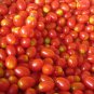 Organic Sweetie Tomato Seeds 15 Count