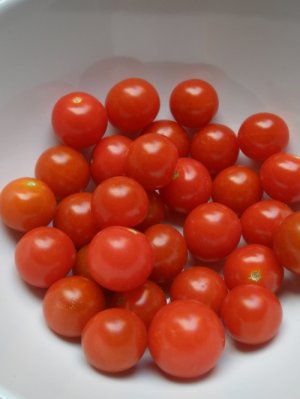 Organic Super Sioux Tomato Seeds 20 Count