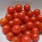 Organic Super Sioux Tomato Seeds 20 Count