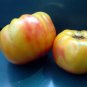 Organic Striped German Tomato Seeds 20 Count