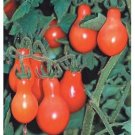Organic Red Pear Tomato Seeds 15 Count
