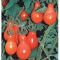 Organic Red Pear Tomato Seeds 15 Count