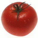 Organic Porter Tomato Seeds 20 Count