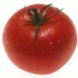 Organic Porter Tomato Seeds 20 Count