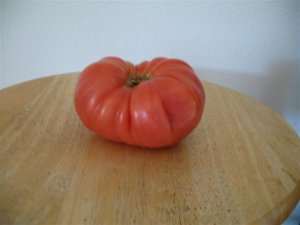 Organic Ponderosa Tomato Seeds 15 Count