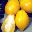 Organic Plum Lemon Tomato Seeds 10 Count