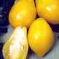 Organic Plum Lemon Tomato Seeds 10 Count