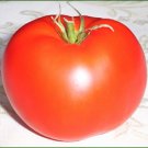 Organic Oregon Spring Tomato Seeds 15 Count