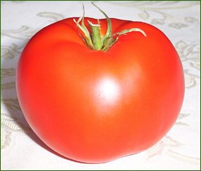 Organic Oregon Spring Tomato Seeds 15 Count