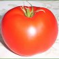 Organic Oregon Spring Tomato Seeds 15 Count