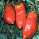 Organic Opalka Tomato Seeds 10 Count