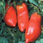 Organic Opalka Tomato Seeds 10 Count