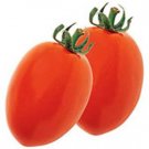 Organic Roma Tomato Seeds 20 Count