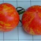 Organic Red Zebra Tomato Seeds 20 Count