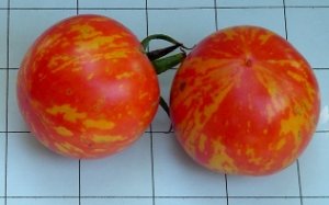Organic Red Zebra Tomato Seeds 20 Count