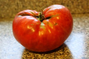 Organic Prudens Purple Tomato Seeds 15 Count