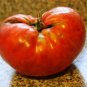 Organic Prudens Purple Tomato Seeds 15 Count
