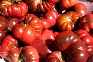 Organic Purple Calabash Tomato Seeds 10 Count