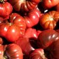 Organic Purple Calabash Tomato Seeds 10 Count