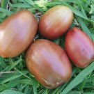 Organic Purple Russian Tomato Seeds 20 Count