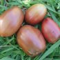 Organic Purple Russian Tomato Seeds 20 Count
