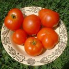 Organic Mule Team Tomato Seeds 20 Count