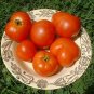 Organic Mule Team Tomato Seeds 20 Count