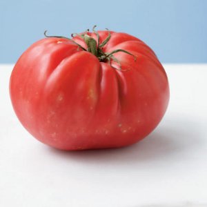 Organic Mortgage Lifter Tomato Seeds 10 Count