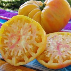 Organic Old German Tomato Seeds 10 Count