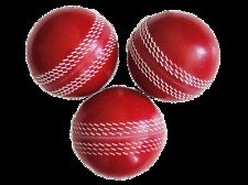 Pro Impact Polysoft Training PVC Cricket Ball