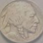 This Is 1913 P Buffalo Head Nickle