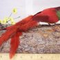 **Feathered Long Tail Artificial Bird 8" - 715-burg