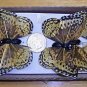 **Lot of 12  Pretty Artificial Butterflys (1 box) #007