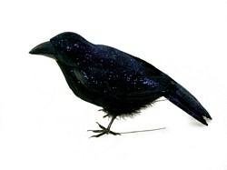 Pretty Feather Black CROW with Dark Blue Glitter