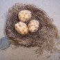 Grass Bird Nest with 3 Spotted Eggs  - Floral -  #103